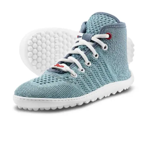 Leguanito Go Seablue